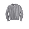 Crewneck Sweatshirt with Logo*